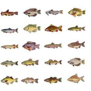   Embroidery Machine Designs CD FRESHWATER GAME FISH 1