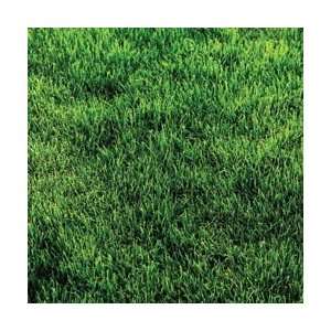 Sugar Tree Papers 12X12 Green Grass; 25 Items/Order