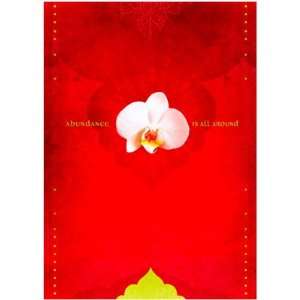 Tree Free Greeting Cards Rare Beauty (pack of 6):  Home 