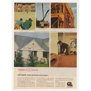   Celanese Chemical Housing Paint Pipe Plywood Print Ad