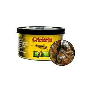 Exo Terra Reptiles Canned Food, Large Crickets, 2.4 Ounce