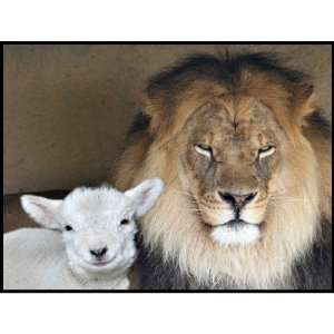  Lion and lamb medium stamp