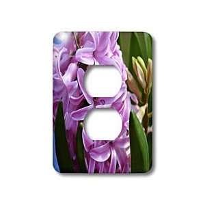 WhiteOak Photography Floral Prints   Spring Hyacinth in Garden   Light 