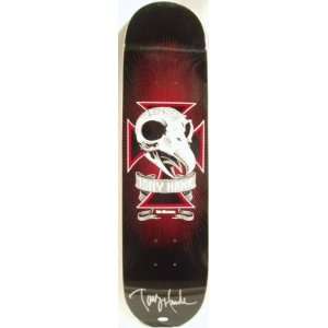  Tony Hawk Autographed Skull 2 Black Skateboard: Sports 