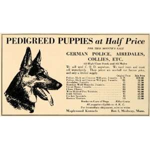  1926 Ad Maplewood Kennels German Shepherd Police Dogs 