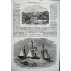  1862 Prince Consort Oak Tree Oriental Steam Ship Poonah 