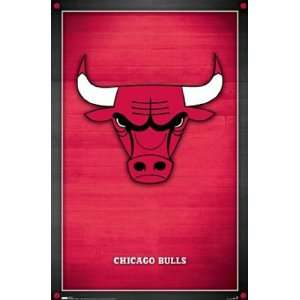  Bulls   Logo by Unknown 22x34