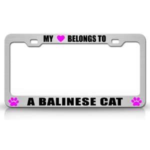 MY HEART BELONGS TO AN BALINESE Cat Pet Steel Metal Auto License Plate 