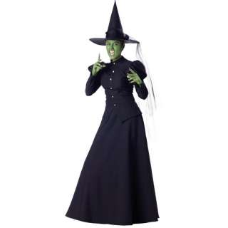 WICKED WITCH ELITE COLLECTION WIZARD OF OZ ADULT WOMENS COSTUME Large 