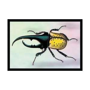  Horned Beetle #1 24x36 Giclee
