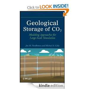 Geological Storage of CO2 Modeling Approaches for Large Scale 