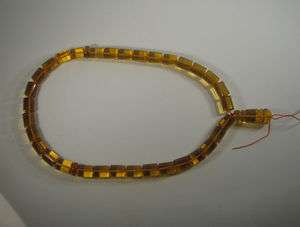 Dominican Amber Muslim Prayer Beads w/ Insects Mesbah  