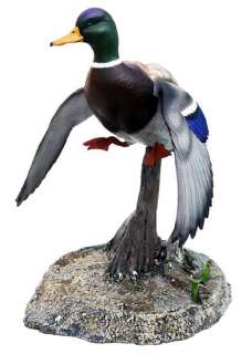 Loon Lake Decoy Landing Drake Mallard Duck Sculpture  