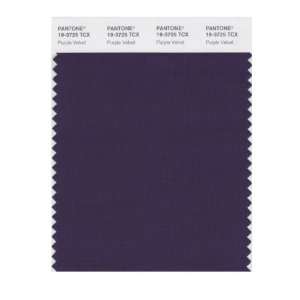  PANTONE SMART 19 3725X Color Swatch Card, Purple Velvet 