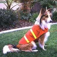 Doggie Duds Safety Vest Nylon w/ Reflective Tape  