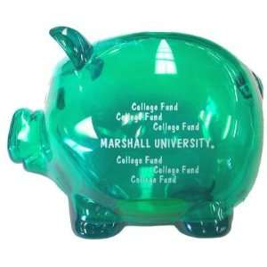   Herd Green Plastic college Fund Piggy Bank