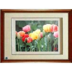 Framed Chinese Silk Embroidery: Tulip Flower 12.6x18.5  