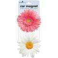 Daisy Car Magnets (Pack of 2) Today 