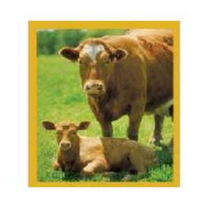  Cow With Calf (Brown) Fridge Magnet