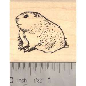  Groundhog Day Rubber Stamp Arts, Crafts & Sewing