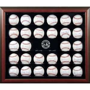 Brown Framed MLB 30 Ball Expos Logo Display Case  Sports 