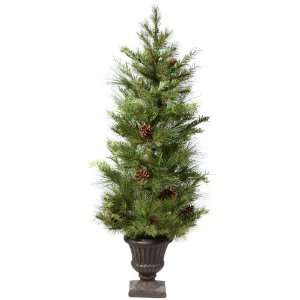  36 Lometa Mix Pine Potted Christmas Tree: Home & Kitchen
