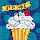 Dimensions Life Is Sweet Mini Needlepoint Kit 5X5 Stitched In Floss