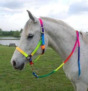 Striking horse Rainbow halter with 8 foot lead and brass hardware 