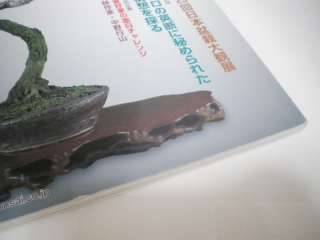   Care Pruning Bunjin Shohin Bonsai Pot Tree Tool Photo Book text  