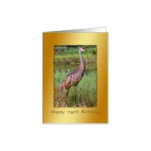  Birthday, 76th, Sandhill Crane Bird Card Toys & Games