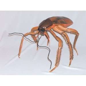  Cockroach Giant Latex Prop