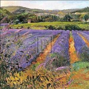  Timothy Easton   Lavender Fields Size 16x16 by Timothy Easton 