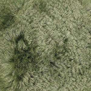   Woven Contemporary Green Rug   MER6900 by Chandra Rugs: Home & Kitchen