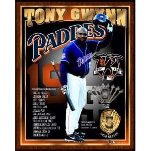 Tony Gwynn San Diego Padres Career Healy Plaque  Sports 