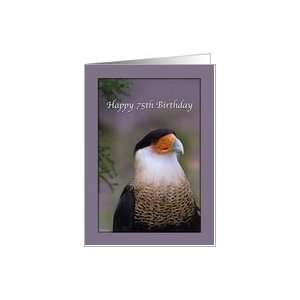    75th Birthday Card with Crested Caracara Bird Card: Toys & Games