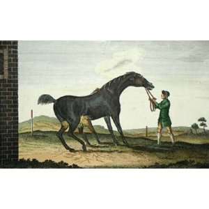  Pilgrim Etching Sartorious, Francis Roberts, Horse Racing 