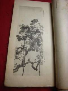 17) 1905 BAIREI bird Japanese Woodblock print 3 BOOK s  