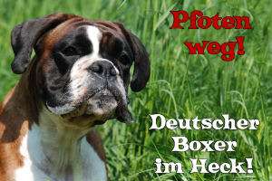 Deutscher Boxer Hund Hunde Welpen Aufkleber 15x20 cm  