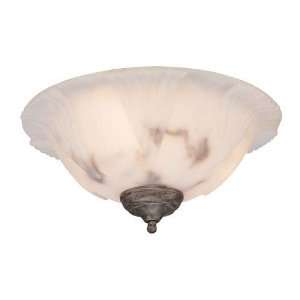   Ceiling Fan Light Kit Light Kits & Accessories   Charcoal Fau: Home