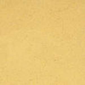  American Clay Plaster Color Pack   Tucson Gold