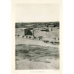   City Mali Sahara Desert Trade Donkey   Original Halftone Print Home