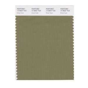  PANTONE SMART 17 0627X Color Swatch Card, Dried Herb: Home 
