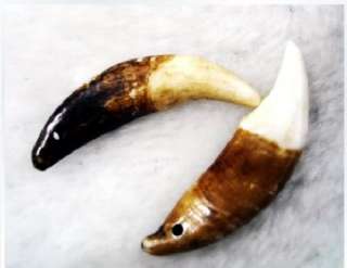   material wolf tooth size color pls see the picture weigh 5g