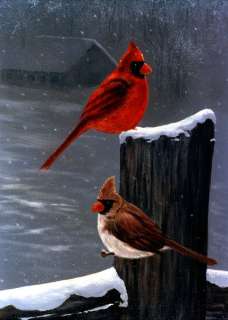 Male Female Cardinals 5x7 Wildlife print my painting  