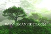 95 3D Animated Church Worship Easter Prayer Video Backgrounds Loops DV 
