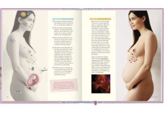 Das Mami Buch Schwangerschaft, Geburt und die zehn Monate danach