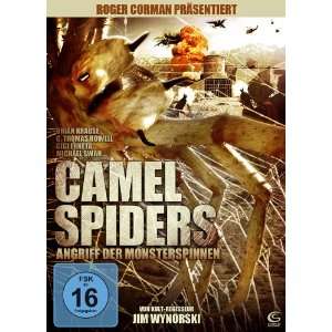 Camel Spiders   Angriff der Monsterspinnen  Brian Krause, C 