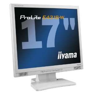 Iiyama Pro Lite E431S W6S 43,2 cm TFT LCD Monitor: .de: Computer 