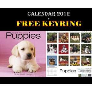  PUPPIES DOGS CALENDAR 2012 + FREE KEYRING