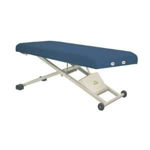  Oakworks   ProLuxe PT100 Electric Therapy Exam Table 